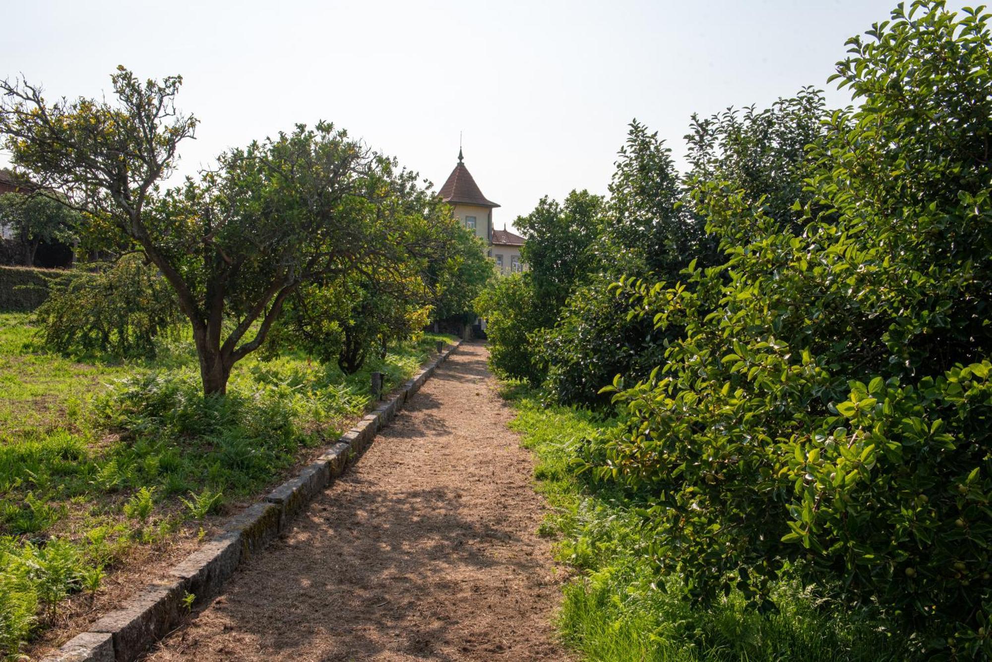 Casa Da Torre Luxury Villa In Брага Екстериор снимка